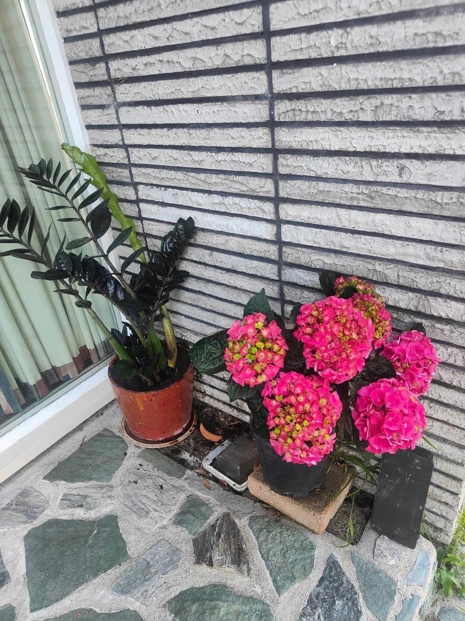 Apartament Ruan Thai Bed And Coffee Hamilton Zewnętrze zdjęcie